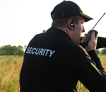 Catch them in the act